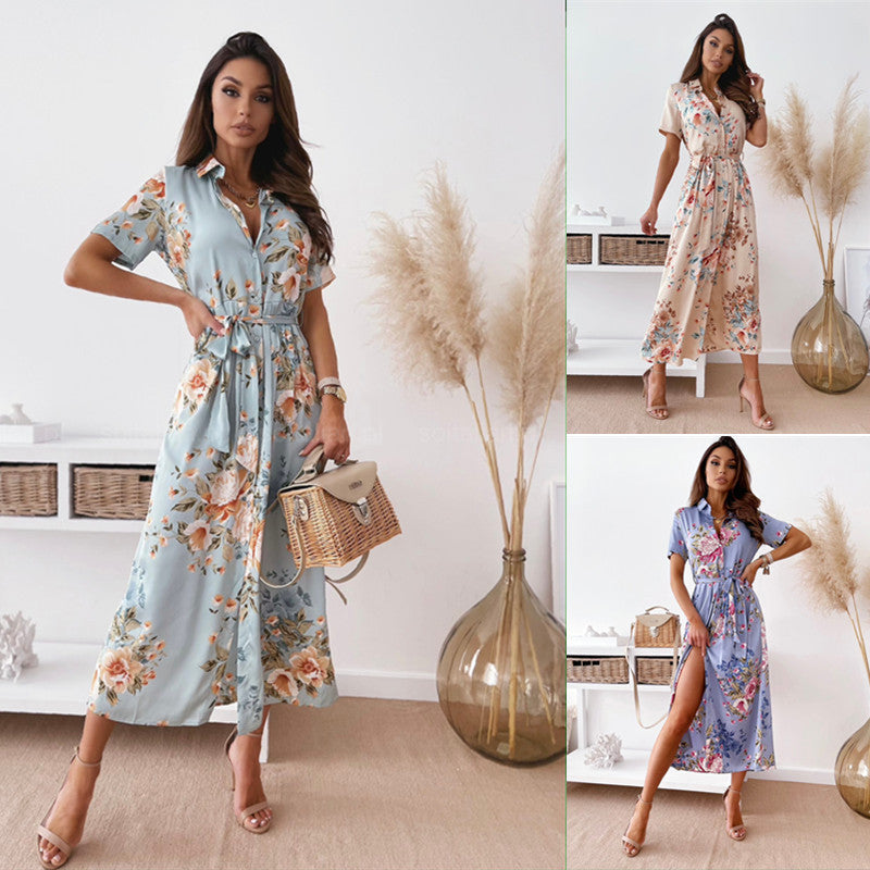 11556194